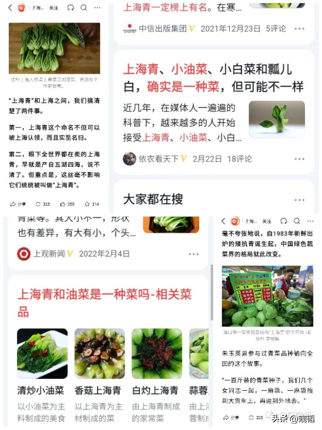 无聊的日子总是会有点无聊的乐趣,无聊的时候如何打发无聊的时间