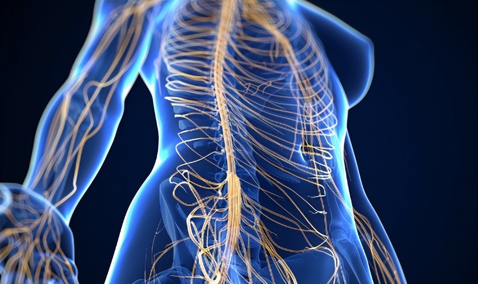 血糖高新药物,血糖稍偏高的中成药