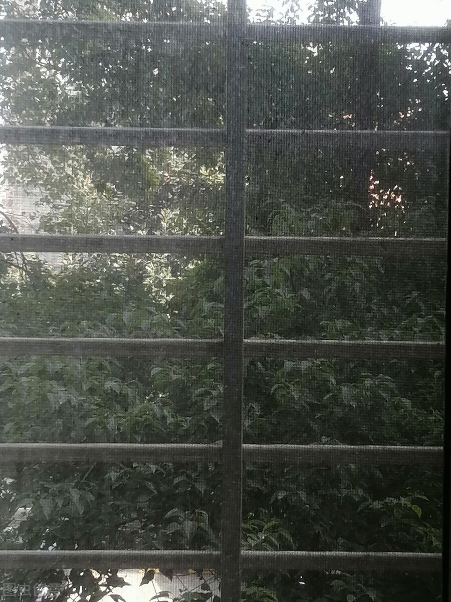 纱窗清洗小妙招不用花露水的,纱窗清洗不用花露水小妙招