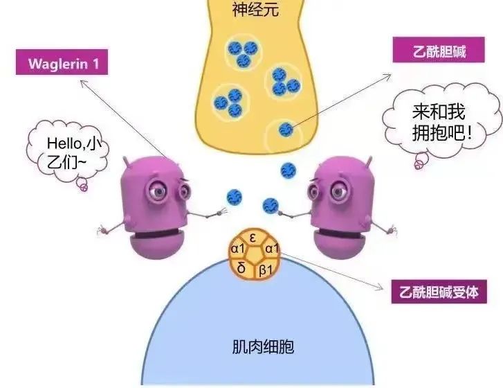 一笑就出法令纹和眼角纹？这两大成分专攻“表情纹”，就是太费钱