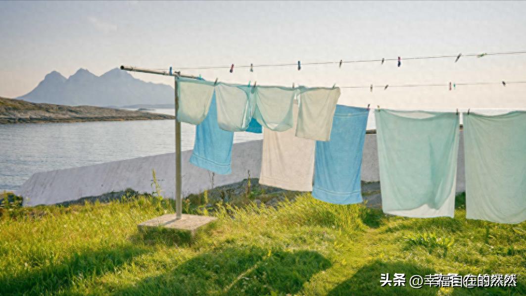 羽绒被太阳晒能杀菌吗,羽绒被洗后晒干有黄渍