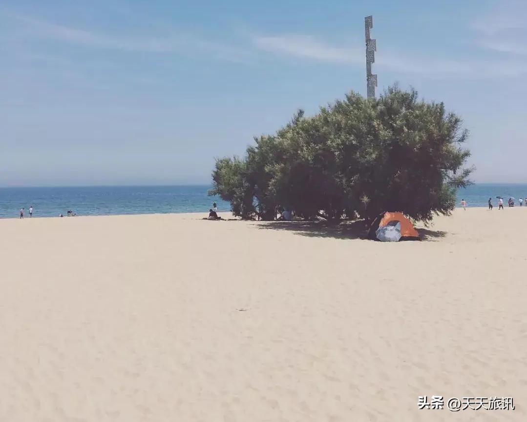 山东最全沙滩指南！烟台、威海、青岛、日照，哪个沙滩最美呢？
