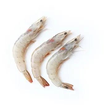 菜市场刚死的虾能不能买,菜市场买的虾是海虾还是河虾