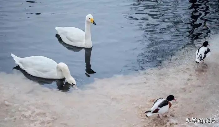 信阳人家家都有的tang，河南好多地方都没了