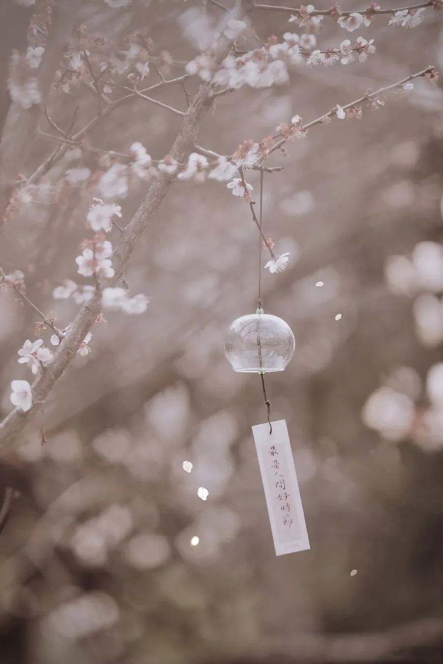 倾情荐读：时间的名字