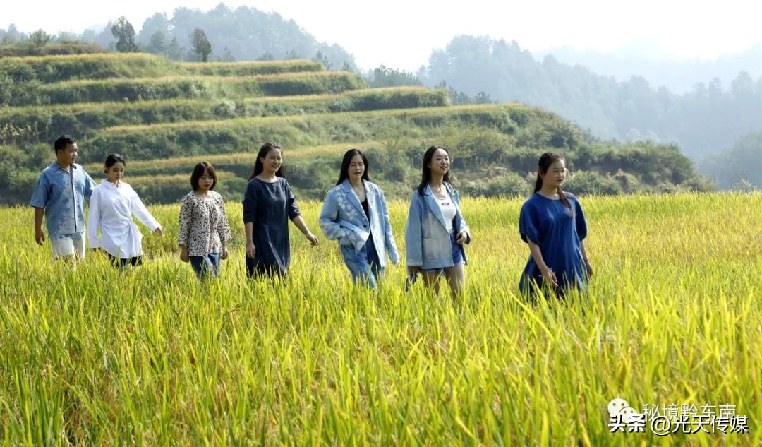 他用实锤打造人生——记施秉县双井镇回乡创业青年龙明开