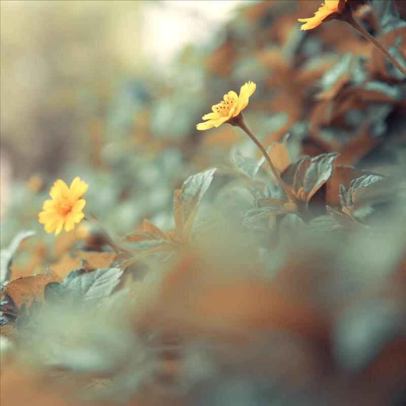 怎么应对可怕的npd,npd的可怕之处