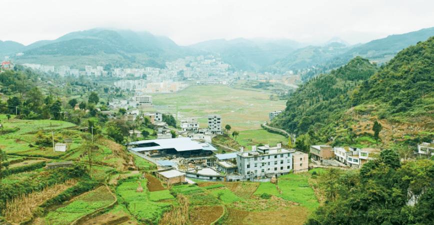 红色记忆《四渡赤水》二,红色记忆的原话