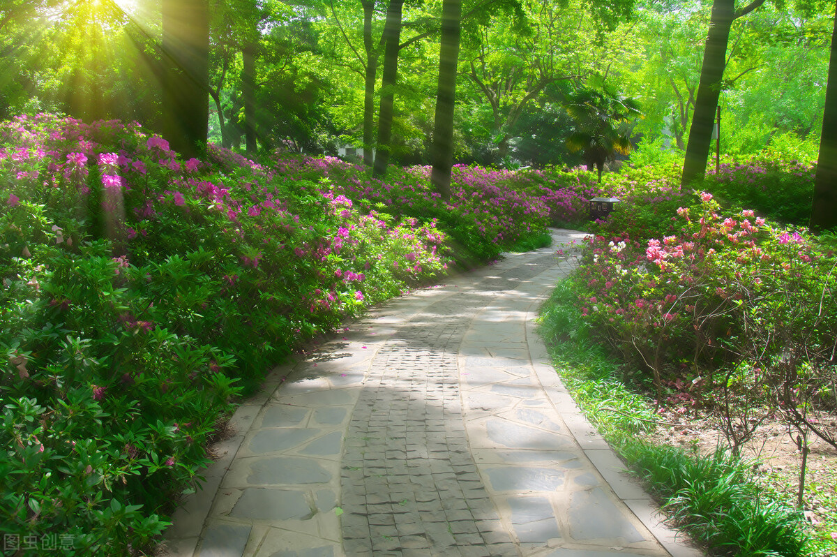 辟谷第2天的感受,辟谷第2天拉水