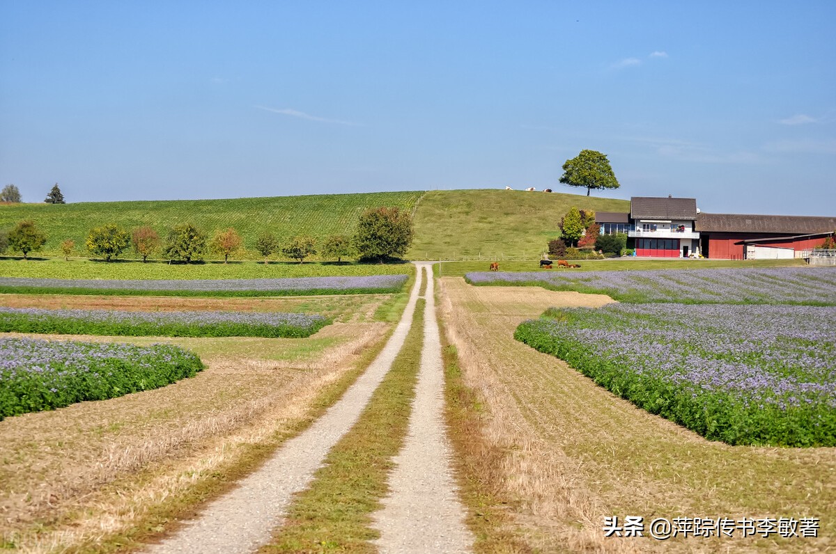 萍踪传书在线阅读,萍踪传书连载五十五