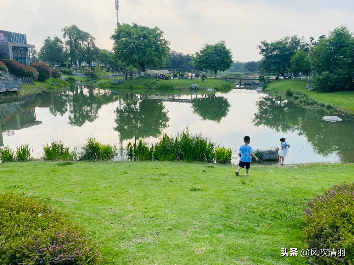 成都哪个区房价低一些,成都哪个地方房价低适合发展