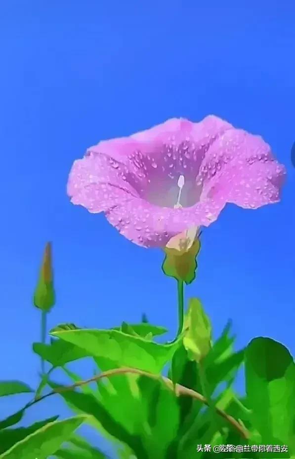 宅在家里挣钱的副业,宅在家也可以找个副业