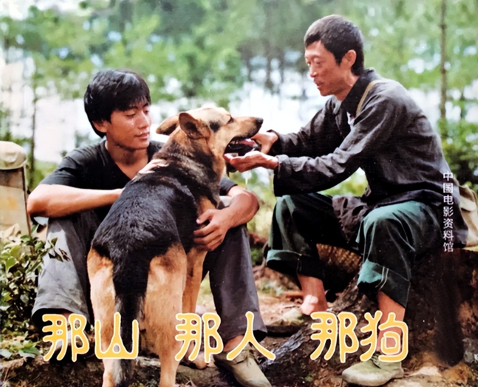 回顾刘烨和谢娜的6年爱情,刘烨与谢娜的遗憾爱情