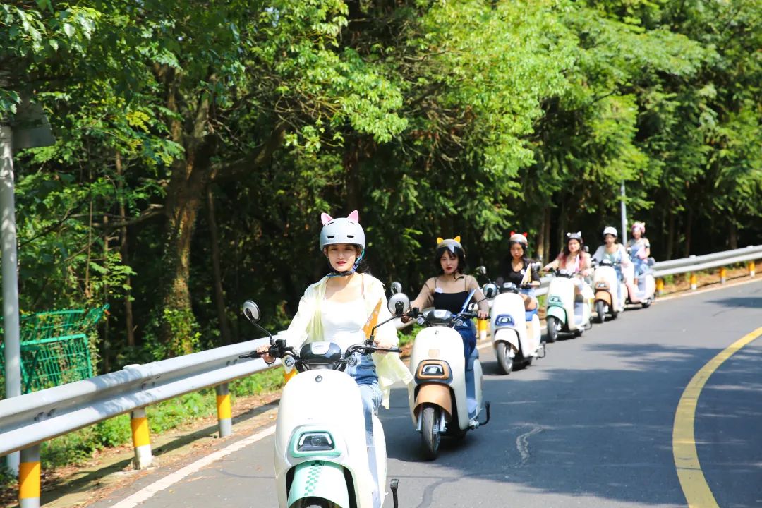 电动车长时间不充电用什么激活,电动车长期不充电怎么办