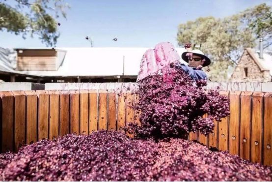 喝红酒嘴唇变色原因,为什么喝红酒舌头变色