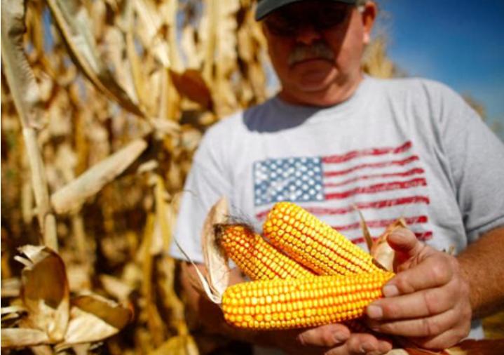 俄罗斯对中国开放海参崴,俄罗斯开放海参崴了吗