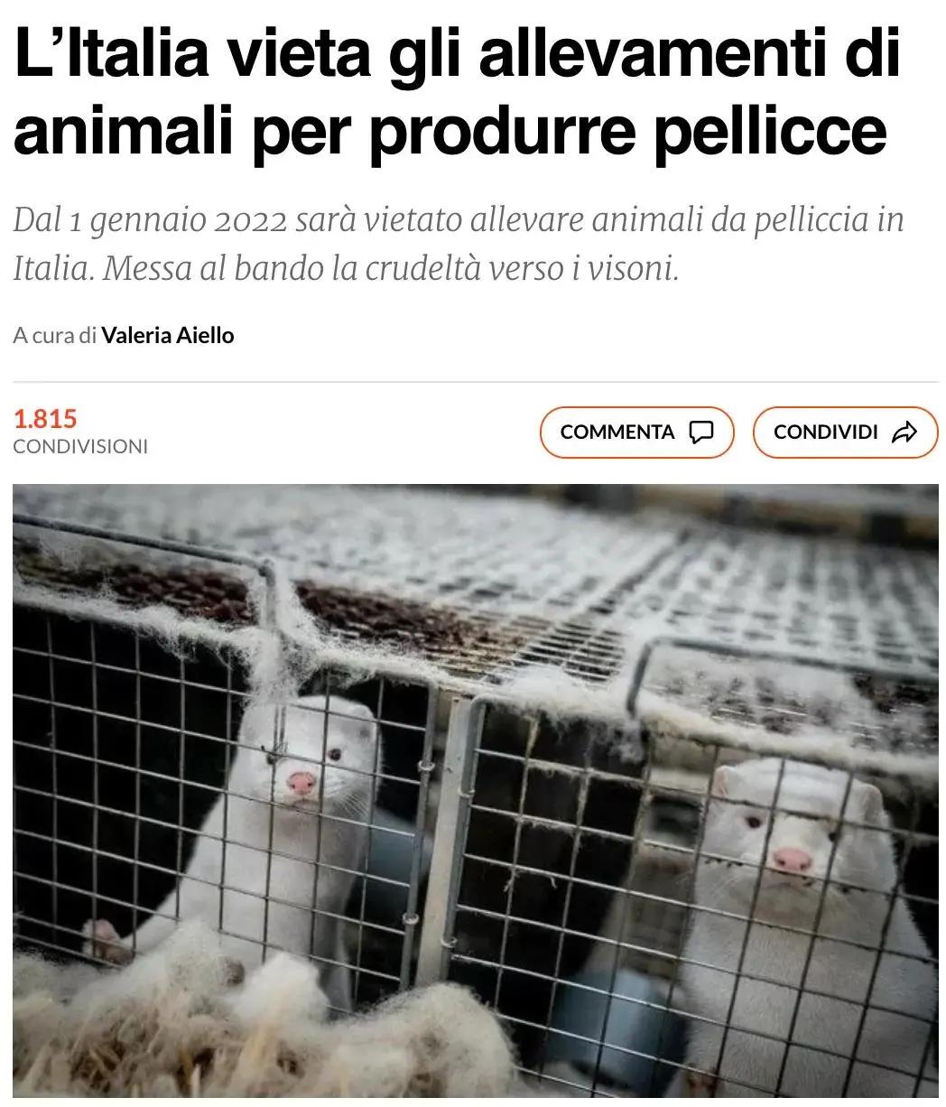 法国禁止饲养动物,意大利禁止产销培养肉