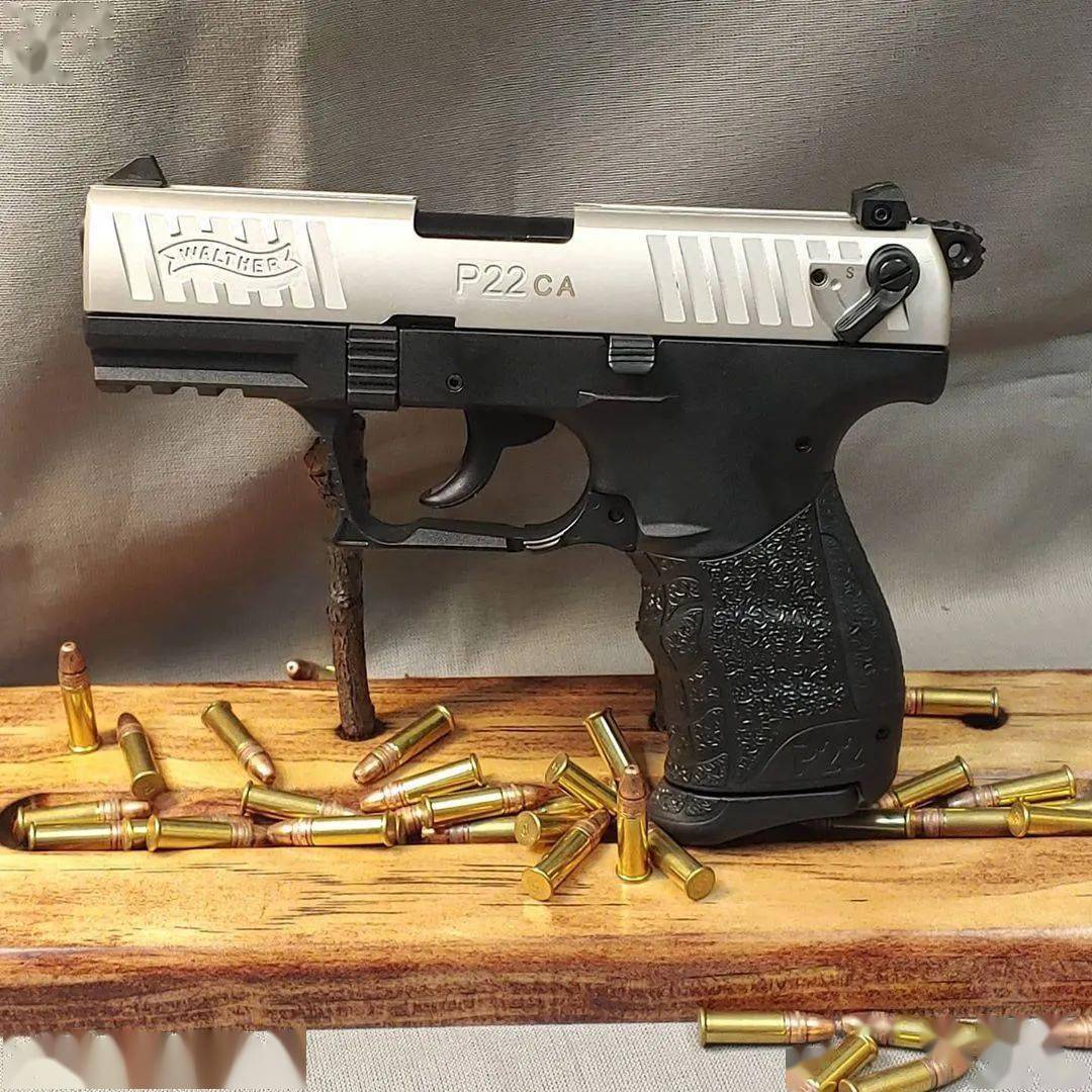 2007年弗吉尼亚理工大学枪击案,美国弗吉尼亚理工大学枪击案档案