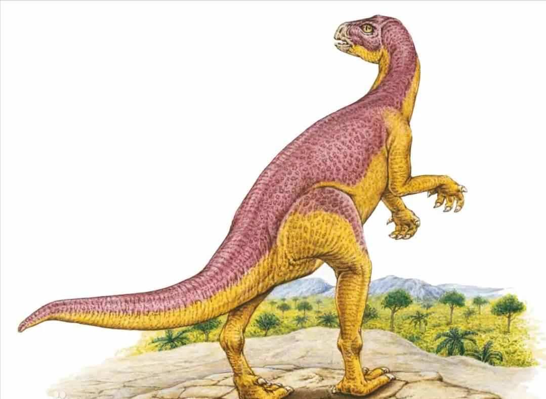 恐龙世界认识史前各种恐龙,食草恐龙和食肉恐龙科普视频