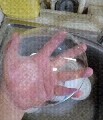 狗子看猫咪很轻松地就上去了，也学着来，结果把猫咪的窝给砸了