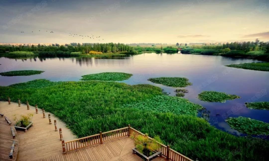 呈贡可以露营的公园,呈贡附近小众的露营地