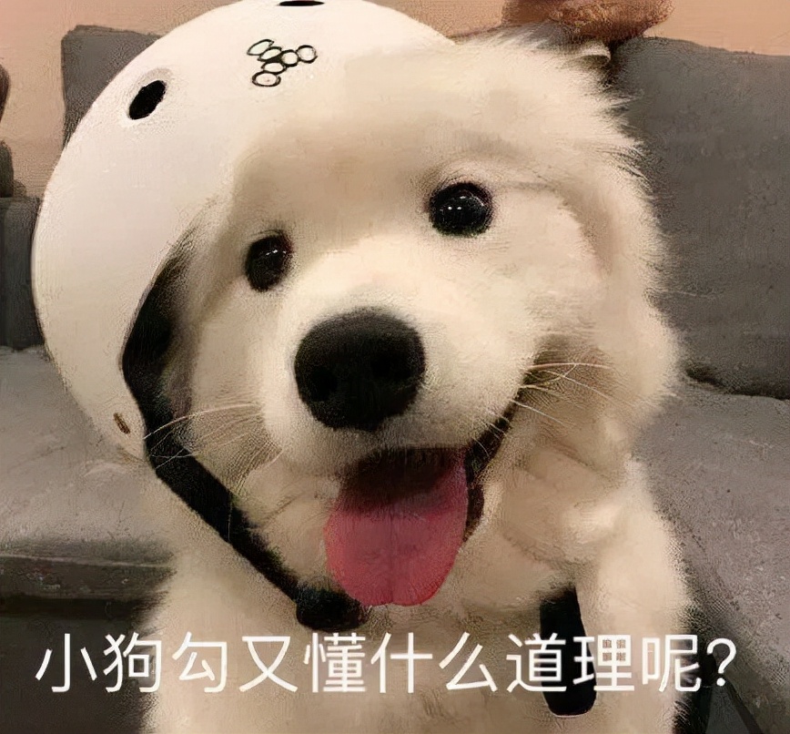 家庭监控下的一幕真实视频完整版,家庭监控下的真实一幕