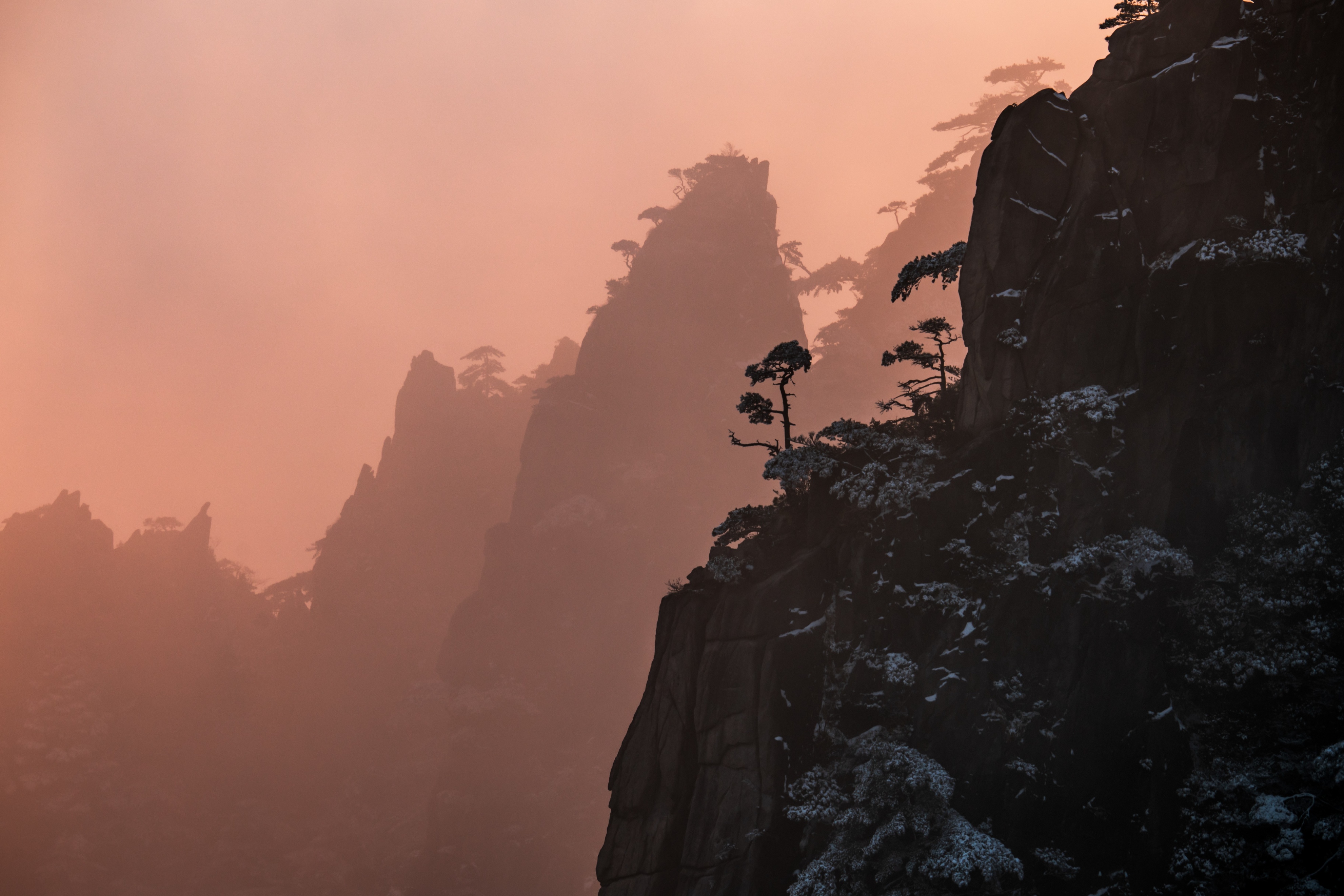 拍野生动物摄影作品,拍动物风景