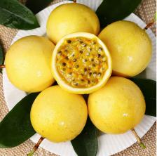 早c晚a茶真的好吗,早c晚a茶是否真的有效果