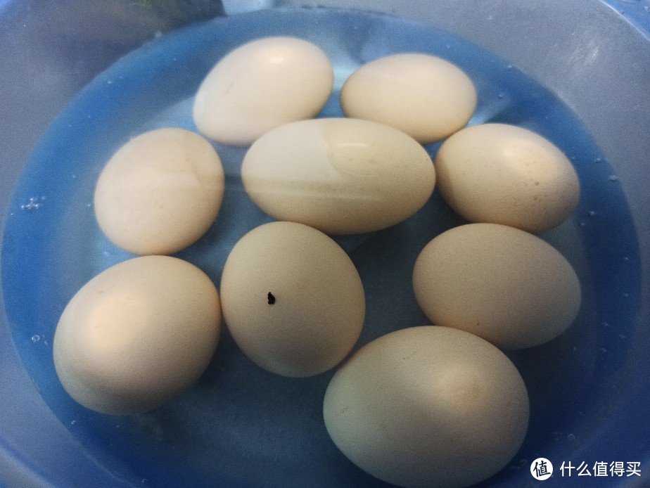 苏泊尔压力锅盐焗鹌鹑蛋,苏泊尔空气炸锅做蛋挞