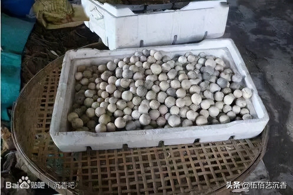 沉香造假最新视频,沉香造假的手法