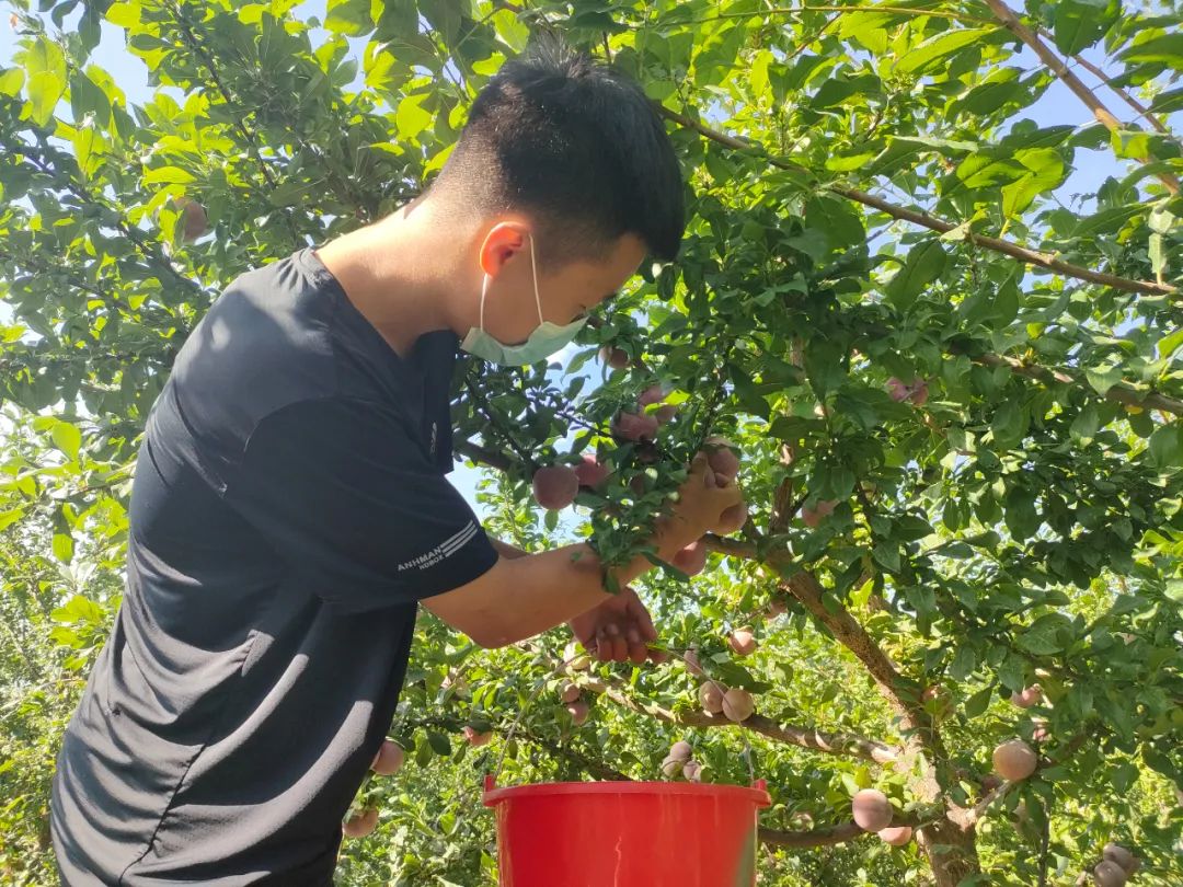 闇嶅皵鏋滄柉甯備紛杞﹀槑鍠勯敗浼埂,闇嶅皵鏋滄柉甯備紛杞﹀槑鍠勯敗浼皯鏃忎埂