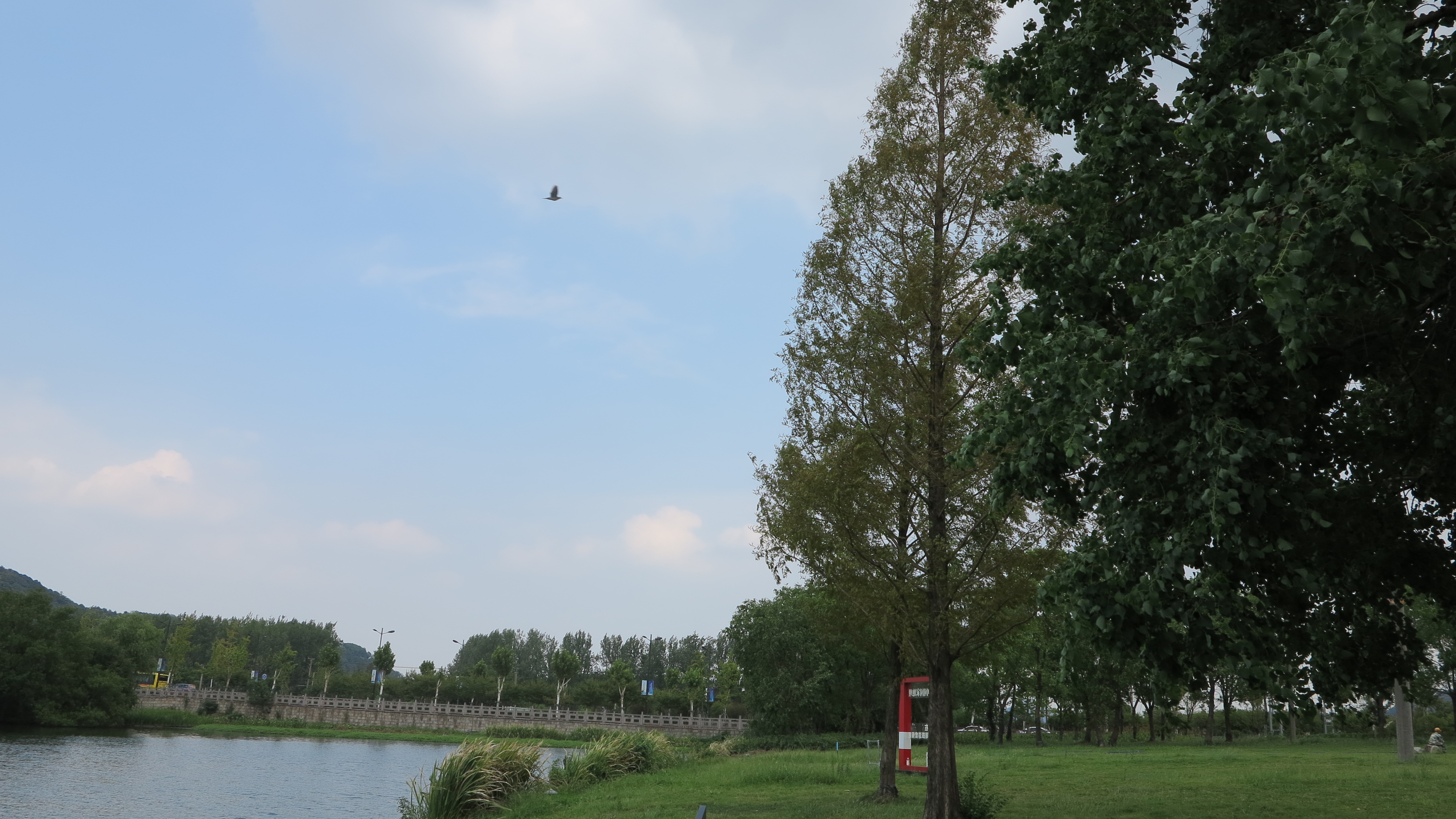 浙江绍兴鉴湖风景如画的地方,绍兴鉴湖旅游攻略
