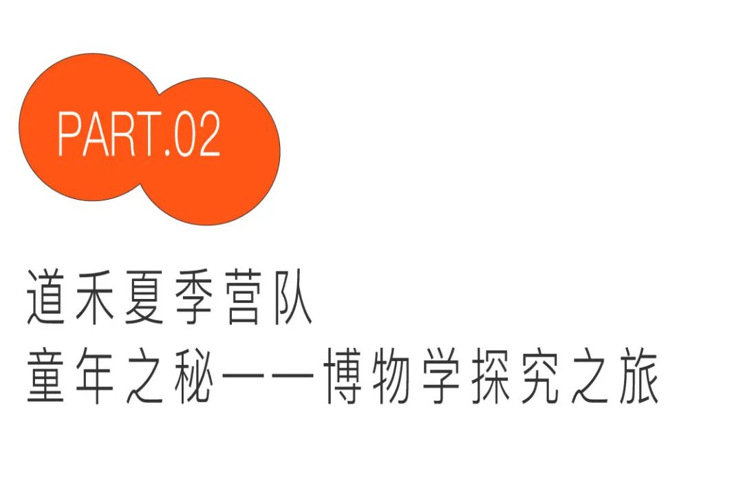 暑期欧洲游夏令营,夏令营旅游海边