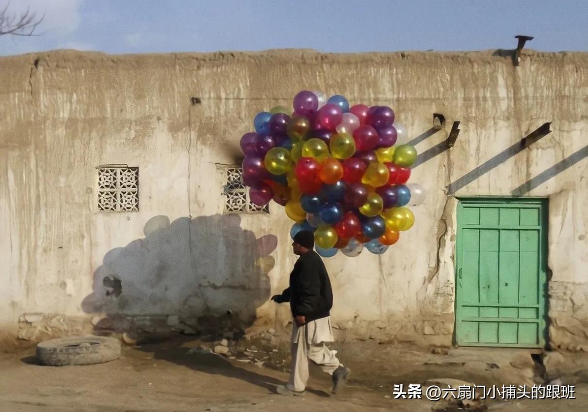 懂懂日记公众号,懂懂日记全集解说