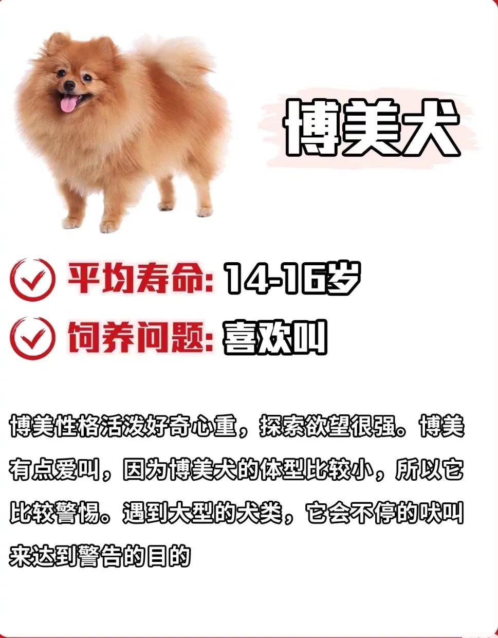 狗狗库欣氏病寿命,泰迪狗狗寿命一览表