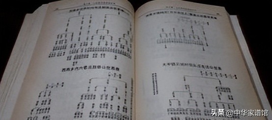 家谱编修流程及详解,家谱是如何编辑完成的