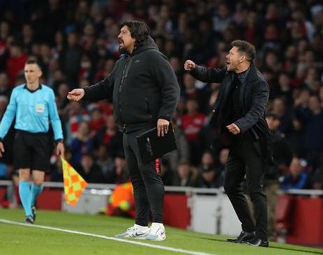 潘帕斯雄鹰长啥样,潘帕斯雄鹰长什么样