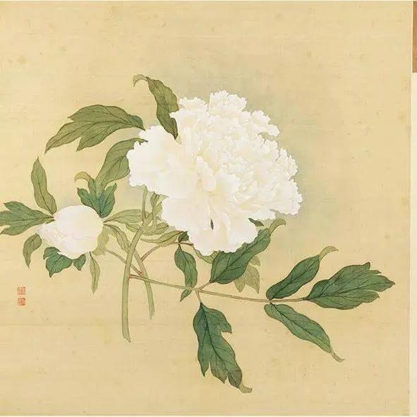 蒋廷锡牡丹画法,蒋廷锡百种牡丹画法