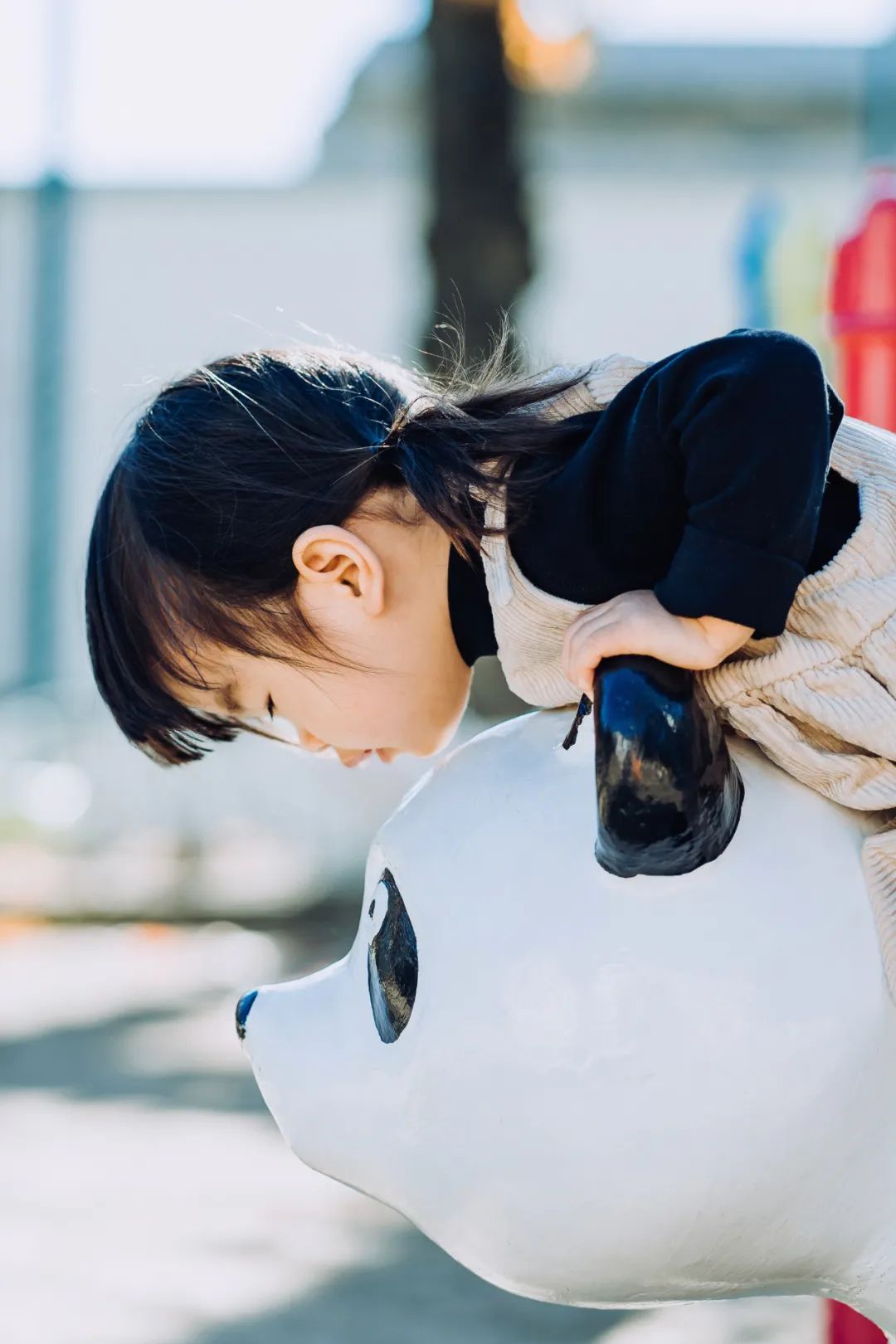 我真的太爱熊猫了，难不成上辈子是根竹子？