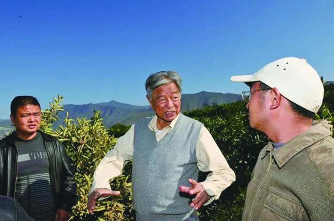 亚洲烟王褚时健,亚洲烟王