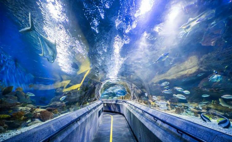 锦州到大连自驾游景点,大连排石自驾游免费景点