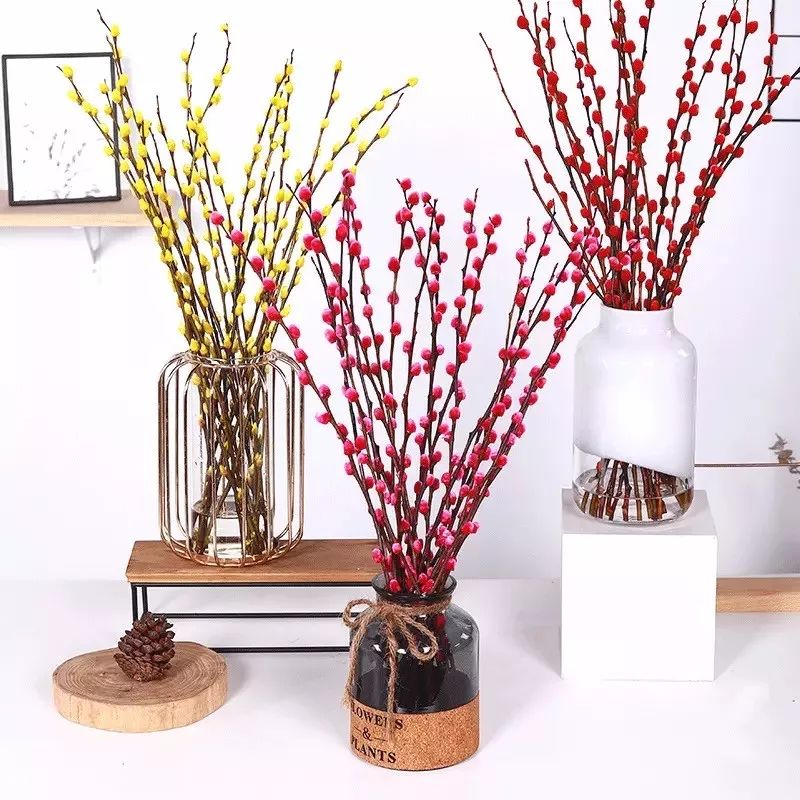 过年养什么盆栽花好看又好养,过年家里养什么水培植物好