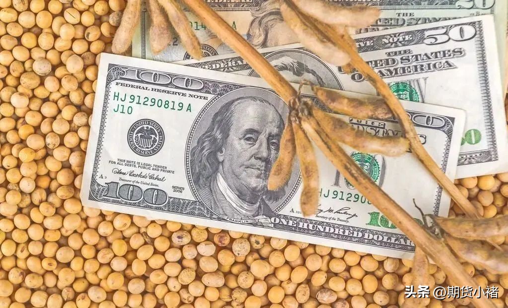 大豆到港成本和期货价格,大豆期货预期提振