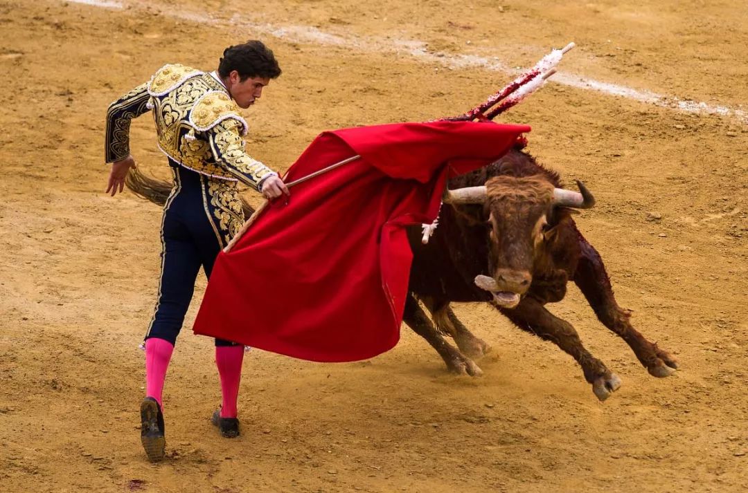 牛是人类最好的朋友,牛为什么是人类好朋友