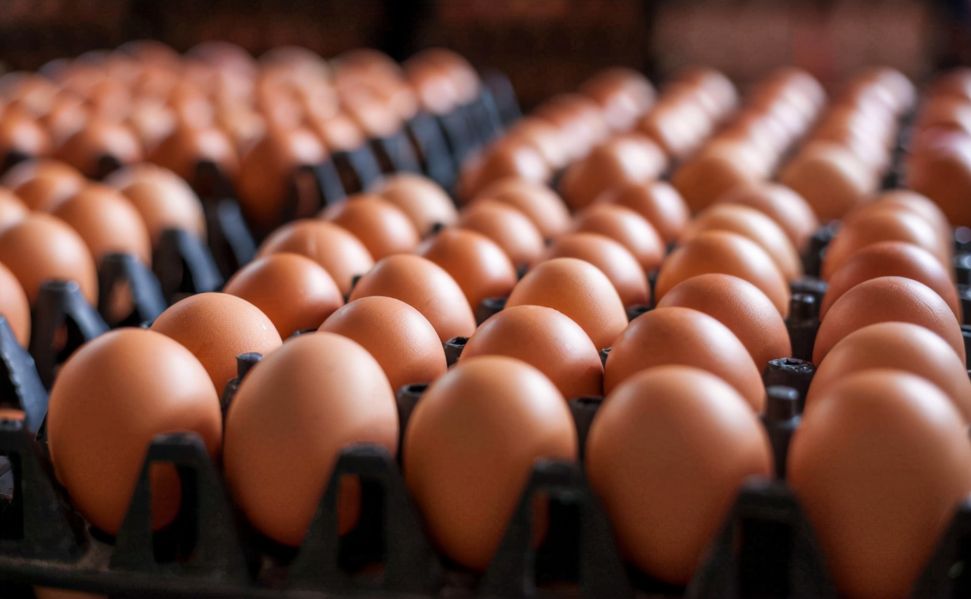 8种全球公认最适合减肥的食物,十种减肥吃的食物