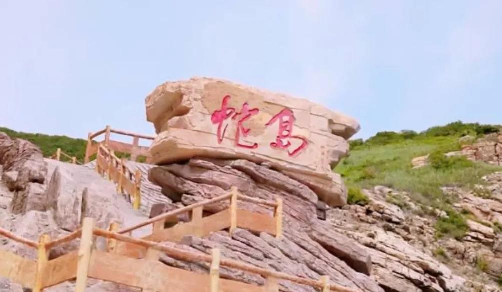 大连蛇岛上的“守蛇人”，守着2万条毒蛇，管蛇吃喝，为蛇涂药水