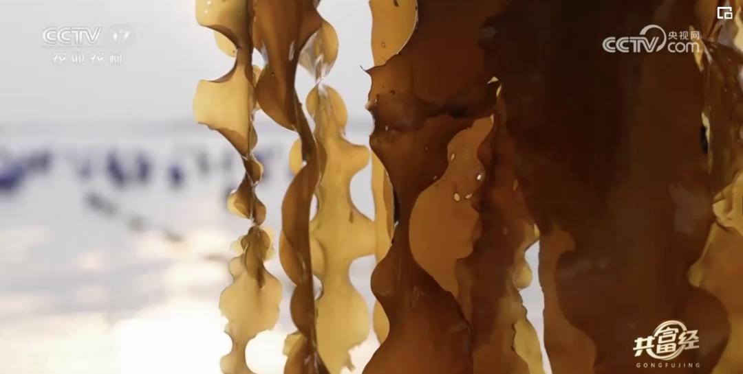 看似不起眼实则很赚钱,养殖场一年能赚多少钱