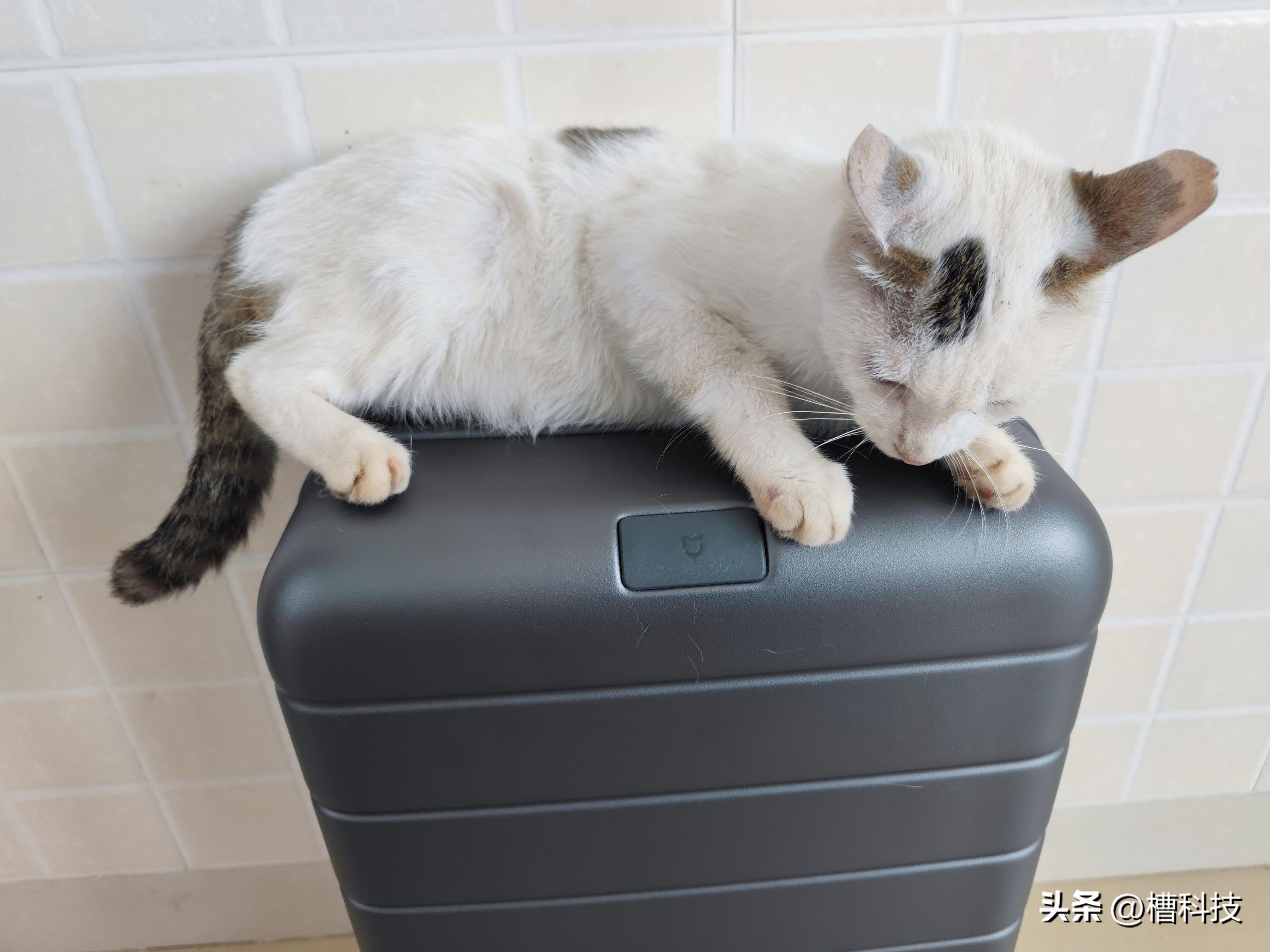 米家拉杆箱体验：旅行中的好伙伴，闲暇时的小桌台