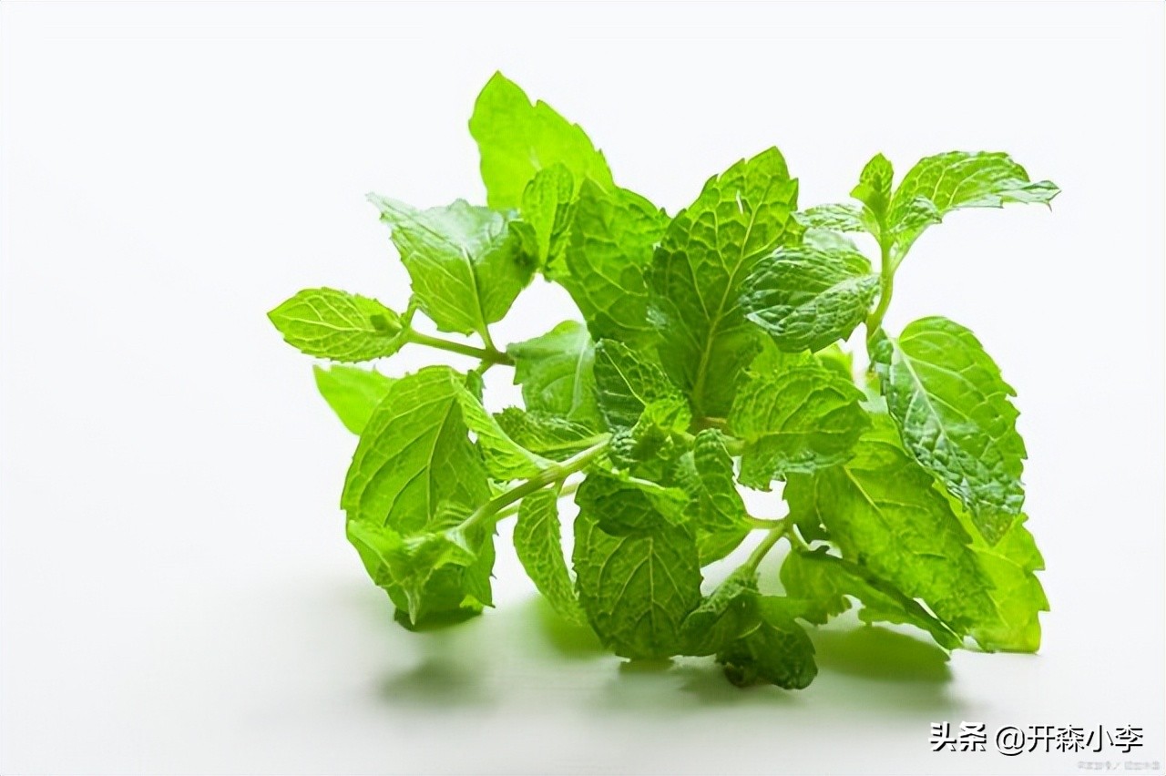 蛇口港食品进口报关手续,深圳蛇口进口报关行