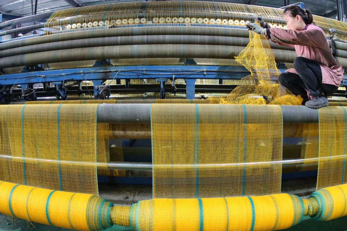 无棣伟达网具厂地址 (无棣伟达网具厂)